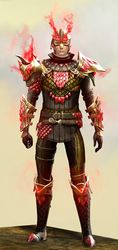 Requiem armor (medium) human male front.jpg