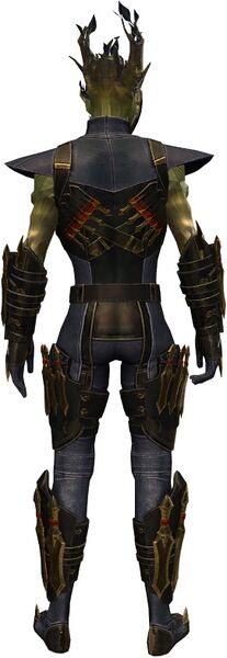 File:True Assassin's Guise Outfit sylvari male back.jpg
