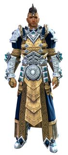 Armor of Koda (light) human male front.jpg