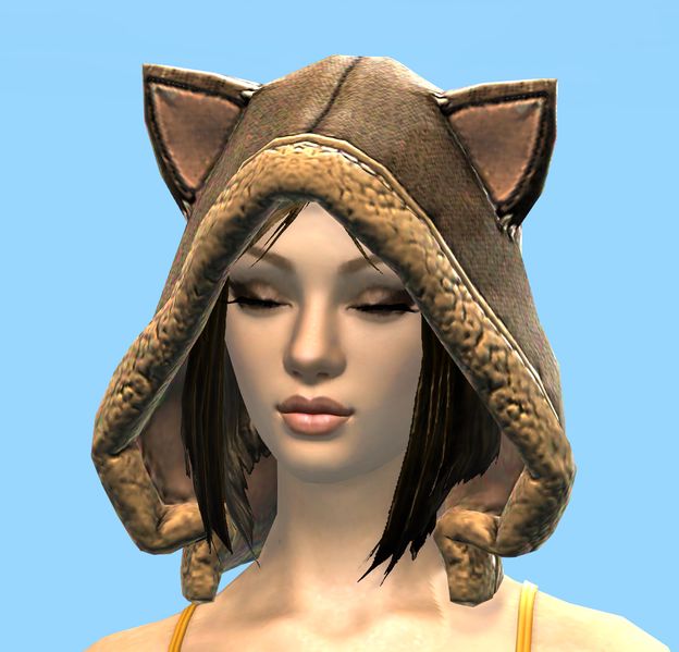 File:Cat-Ear Hood.jpg