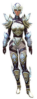 Glorious Hero's armor (medium) human female front.jpg