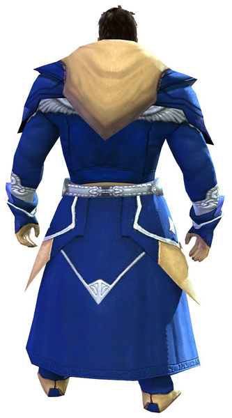 File:Acolyte armor norn male back.jpg