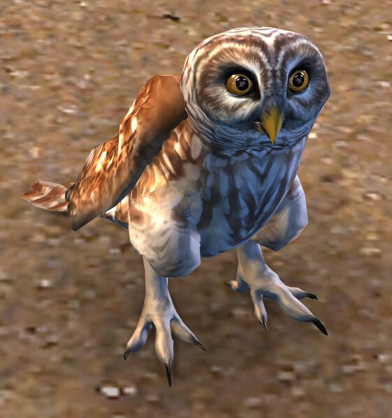 File:Barred Owl (brown).jpg