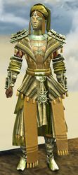 Elonian armor (light) sylvari male front.jpg