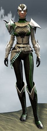 Elegy armor (medium) human female front.jpg