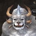 Exclusive face - charr male 3.jpg
