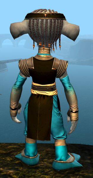 File:Light Monastery armor asura male back.jpg