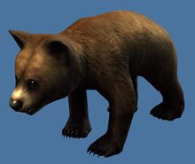 Mini Bear Cub.jpg