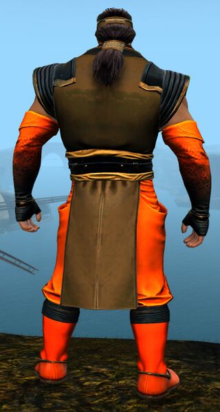 File:Light Monastery armor norn male back.jpg