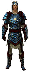 Reinforced Scale armor human male front.jpg