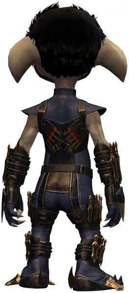 File:True Assassin's Guise Outfit asura male back.jpg