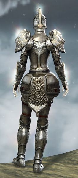 File:Radiant armor (heavy) norn female back.jpg