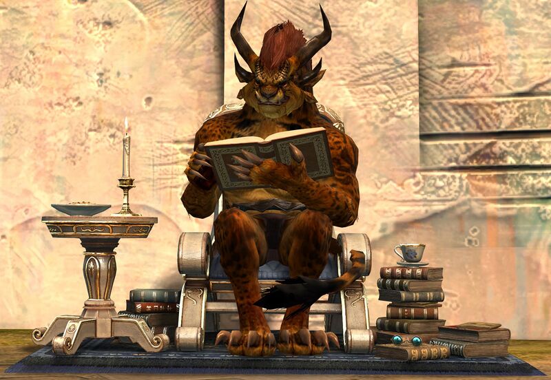 File:Comfortable Reading Chair charr male.jpg