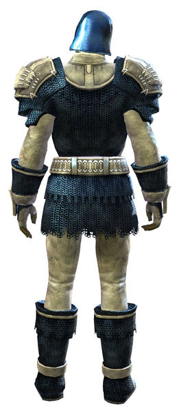 File:Worn Chain armor sylvari male back.jpg