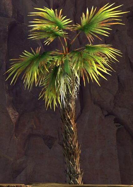File:Palm Tree.jpg