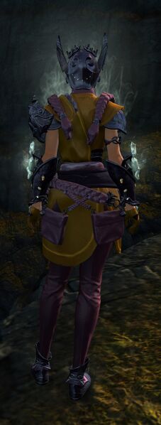 File:Ancient Ritualist armor norn female back.jpg