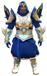 Glorious armor (light) norn male front.jpg