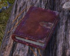 Old Journal.jpg