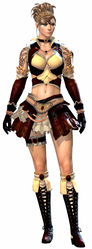 Apprentice armor norn female front.jpg