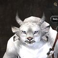 Exclusive face - charr female 4.jpg