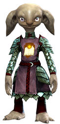 Guild Defender armor asura male front.jpg
