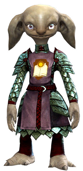 File:Guild Defender armor asura male front.jpg