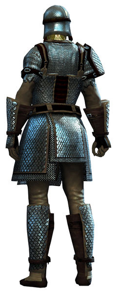 File:Heavy Scale armor sylvari male back.jpg