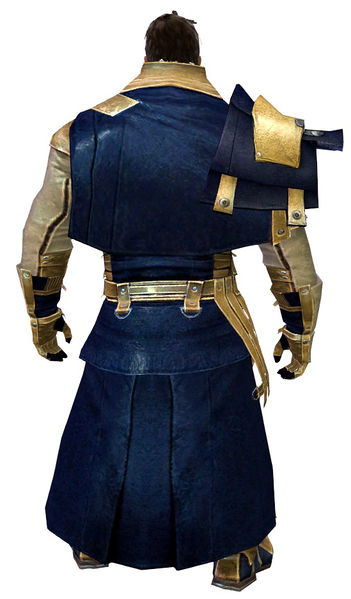 File:Leather armor norn male back.jpg