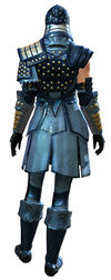 Ascalonian Sentry armor norn female back.jpg