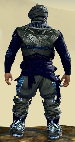 File:Corsair armor (heavy) norn male back.jpg