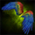 Macaw Wings Glider.png