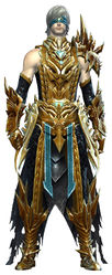 Mistward armor human male front.jpg