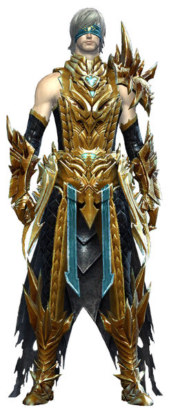 File:Mistward armor human male front.jpg