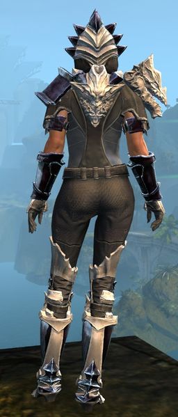 File:Perfected Envoy armor (medium) norn female back.jpg