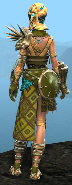 File:Spearmarshal's armor (heavy) human female back.jpg