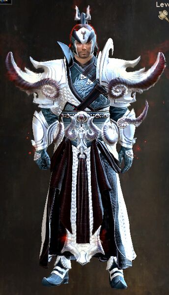 File:Divine Conqueror Outfit human male front.jpg