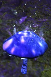 Skyclad Mushroom (object).jpg