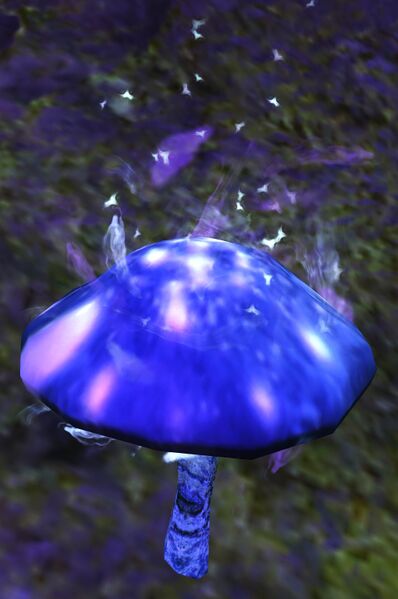 File:Skyclad Mushroom (object).jpg