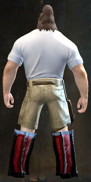 File:End of Dragons Emblem Clothing Outfit norn male back.jpg