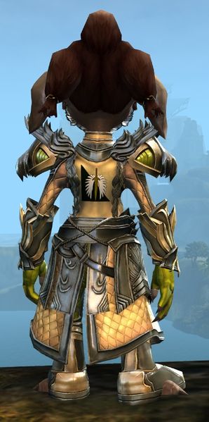 File:Ornate Guild armor (medium) asura female back.jpg