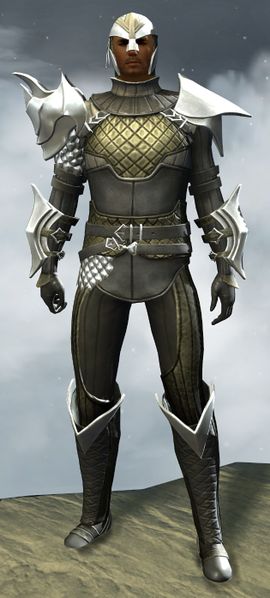 File:Elegy armor (medium) human male front.jpg