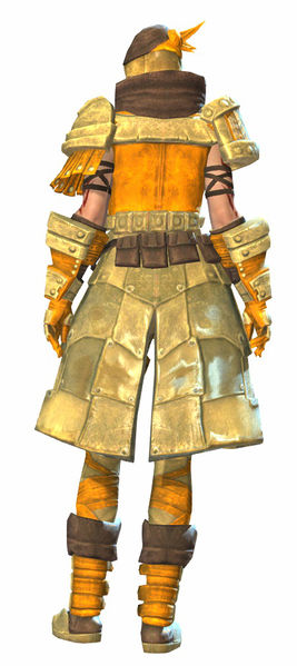 File:Forgeman armor (medium) norn female back.jpg
