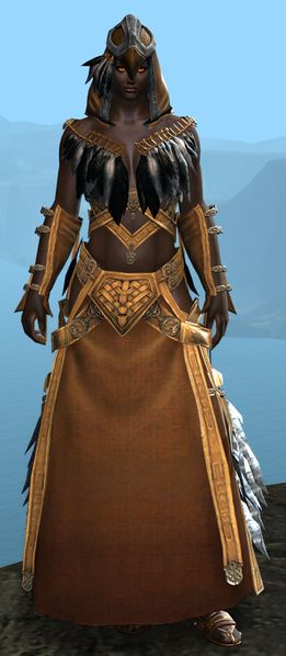 File:Raven Ceremonial armor norn female front.jpg