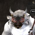 Exclusive face - charr female 8.jpg