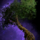 Green Tree.png