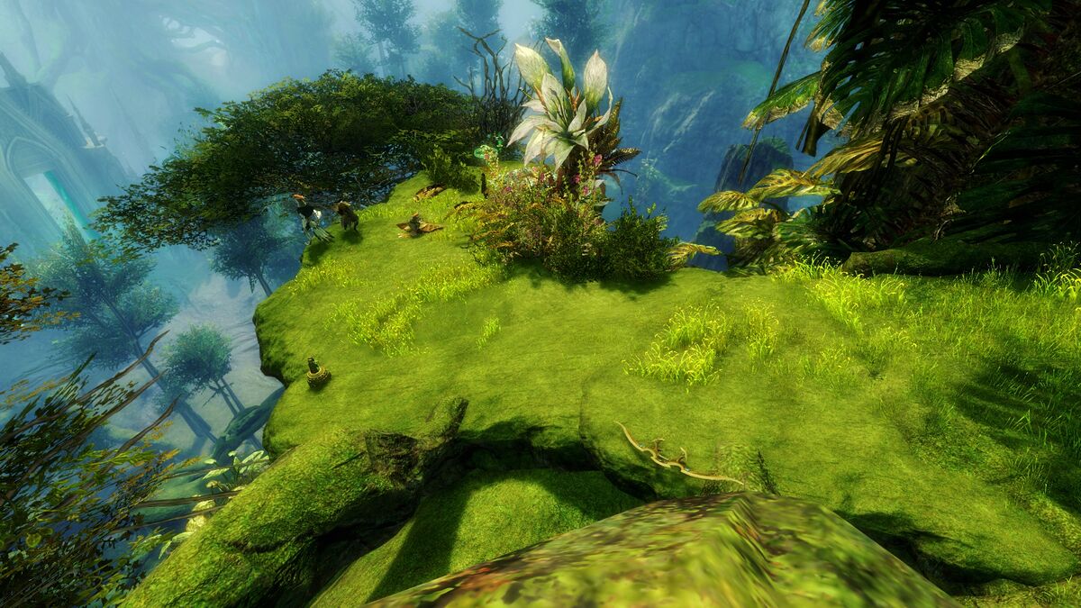 Aoi's Perch - Guild Wars 2 Wiki (GW2W)