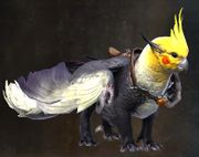 Gallery Of Griffon Skins - Guild Wars 2 Wiki (GW2W)