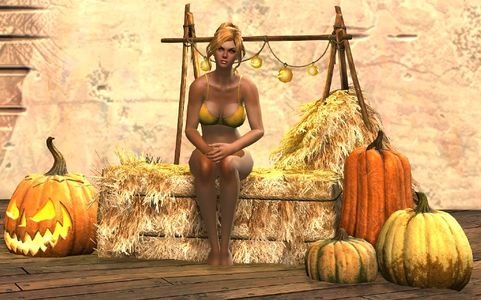 Festive Harvest Chair human female.jpg