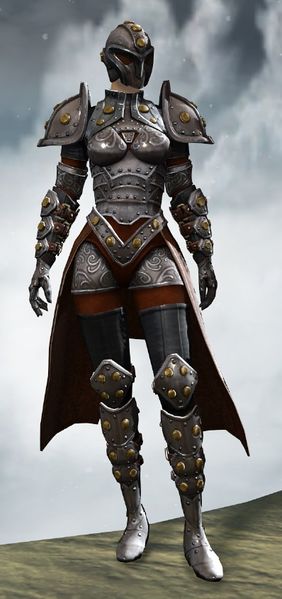 File:Ironclad Outfit norn female front.jpg