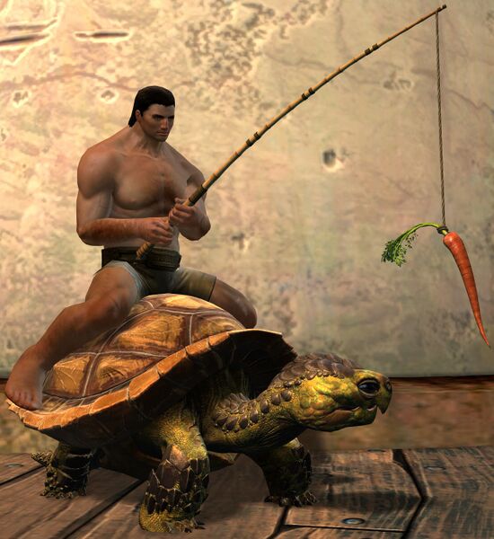 File:Meandering Tortoise Chair norn male.jpg